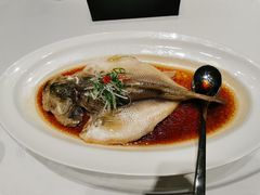 清蒸鲈鱼-金色艳阳天•粤菜 淮扬菜(古平岗店)