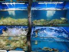 -桔子海鲜烧烤大排档(金沙滩店)