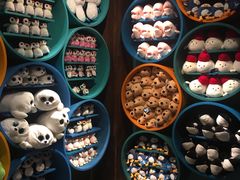 -沈阳海洋探索中心