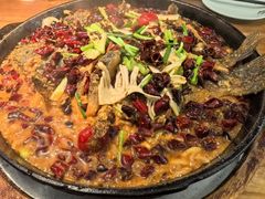 -老板恋上鱼(振华商厦店)