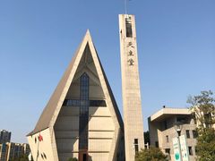 -青枫公园