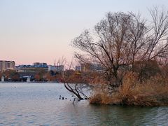 -济南大明湖景区