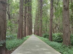 -同里国家湿地公园
