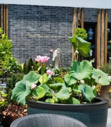 -保丽宝泰母婴护理院·月子中心·产康·中医(常州店)