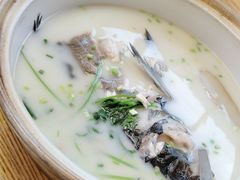 -紫藤园·天目湖大鱼头(南山竹海店)