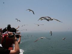 -仁川港国际客运码头