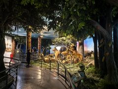 -国家自然博物馆