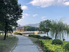 -飞来湖湿地公园