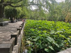 -四川大学(华西校区)