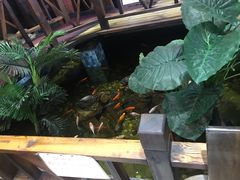 -大宝全猪馆(南京路店)