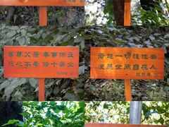 -寂照庵