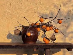 -东钱湖旅游度假区