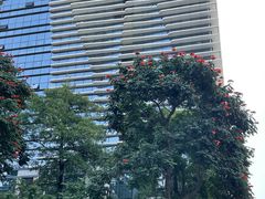 -万达广场(厦门湖里店)