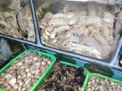 -大丰收海鲜酒楼·专业餐饮30年(连云港老字号店)
