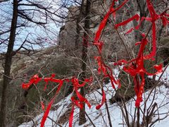 -崂山巨峰游览区