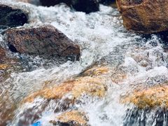 -广州白江湖森林公园