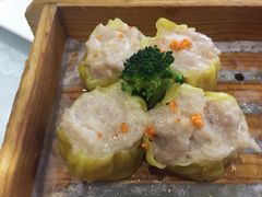 -鹅城