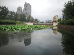 -门城湖公园