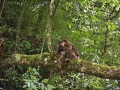 -西岭雪山大飞水景区