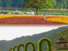 -广州市石门国家森林公园