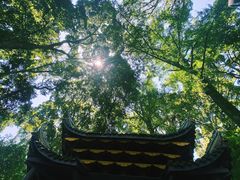 -峨眉山风景名胜区