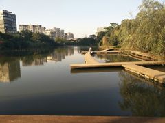-金山公园