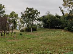 -良渚古城遗址公园