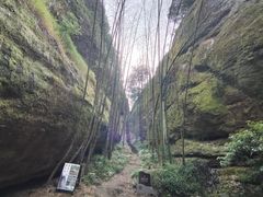 -崀山风景名胜区