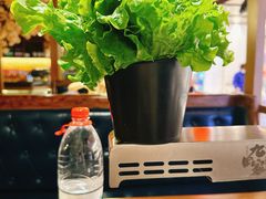 -九田家黑牛烤肉料理(太阳宫广场店)