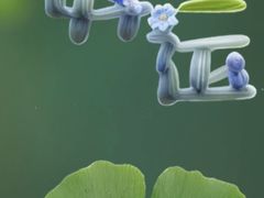 -蜜雪冰城(武陵阁步行街店)