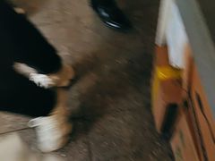 -鸡鸣汤包(红山动物园店)