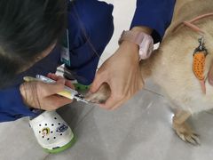 -佳雯宠物医院·皮肤科·内外科(春晓路分院)