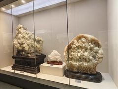 -安徽省地质博物馆
