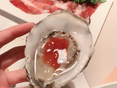 -Oyster Talks 四度蚝法餐厅