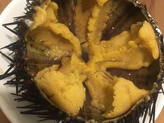 -海胆小馆(东北水饺·春柳店)