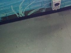 -悉尼海洋生物水族馆