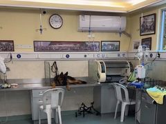 -动物缘宠物医院·骨科·猫科(西二环店)