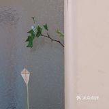 是刚开始的夏天