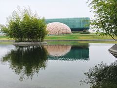 -金陵图书馆