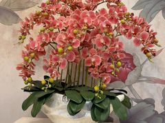 -九紫烤鸭·津粤菜(意式风情街店)