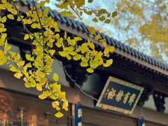 -西湖风景区十里琅珰-五云山