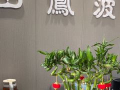 -田凤波推拿.按摩养生(幸福店)