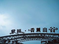 -紫颐香薰山谷景区