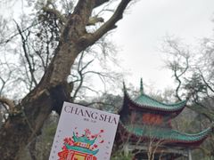 -岳麓山风景名胜区