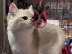 -上海来福士广场