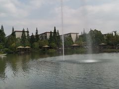 -成飞公园
