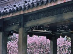 -无锡梅园公园