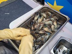 -龙湖重庆时代天街
