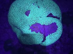 -普吉岛凯悦酒店