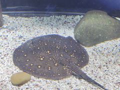 -常州海昌海洋探索馆